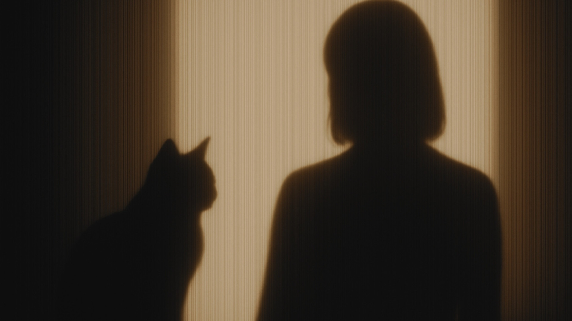 Voices of Vulnerability