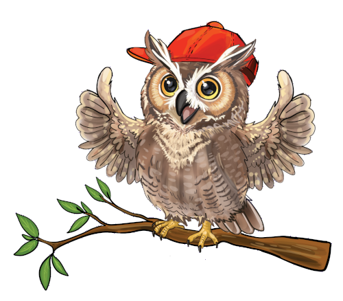 UBI the owl